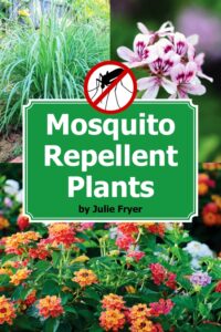Repel Mosquitoes with These Plants, Part 1: Citronella, Lemongrass, and Lantana Image